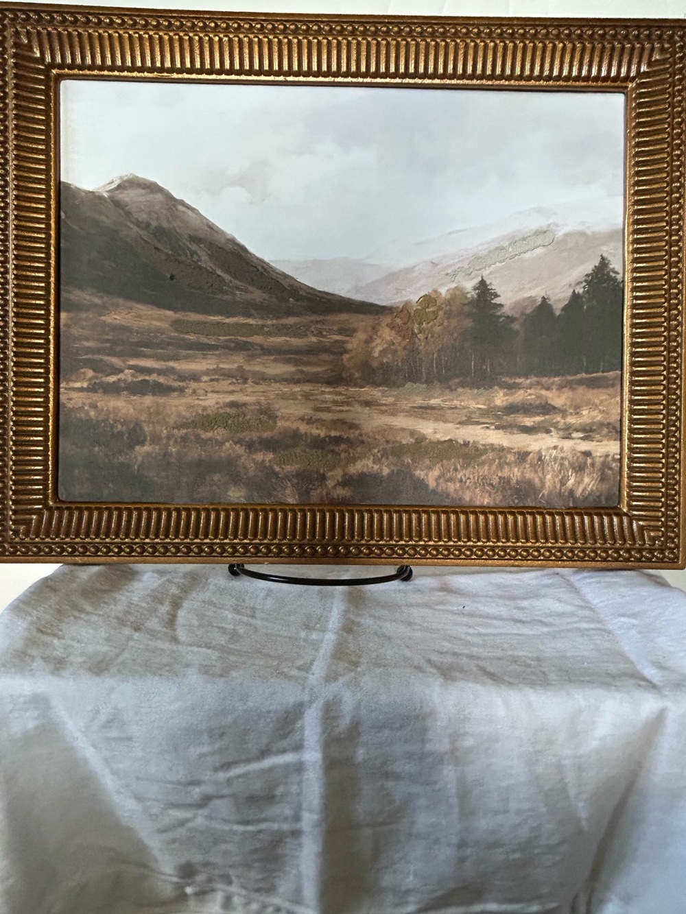 Framed Landscape Art Print in Gold Frame - Muted Earth Tones